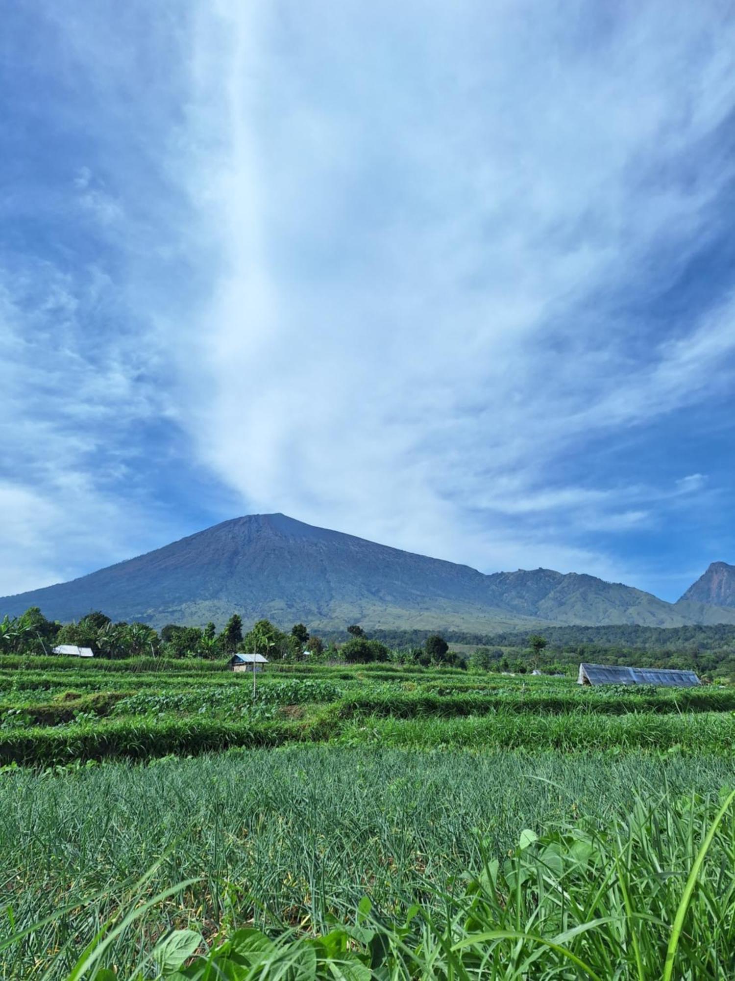 Family Rinjani Bungalow Sajang 외부 사진