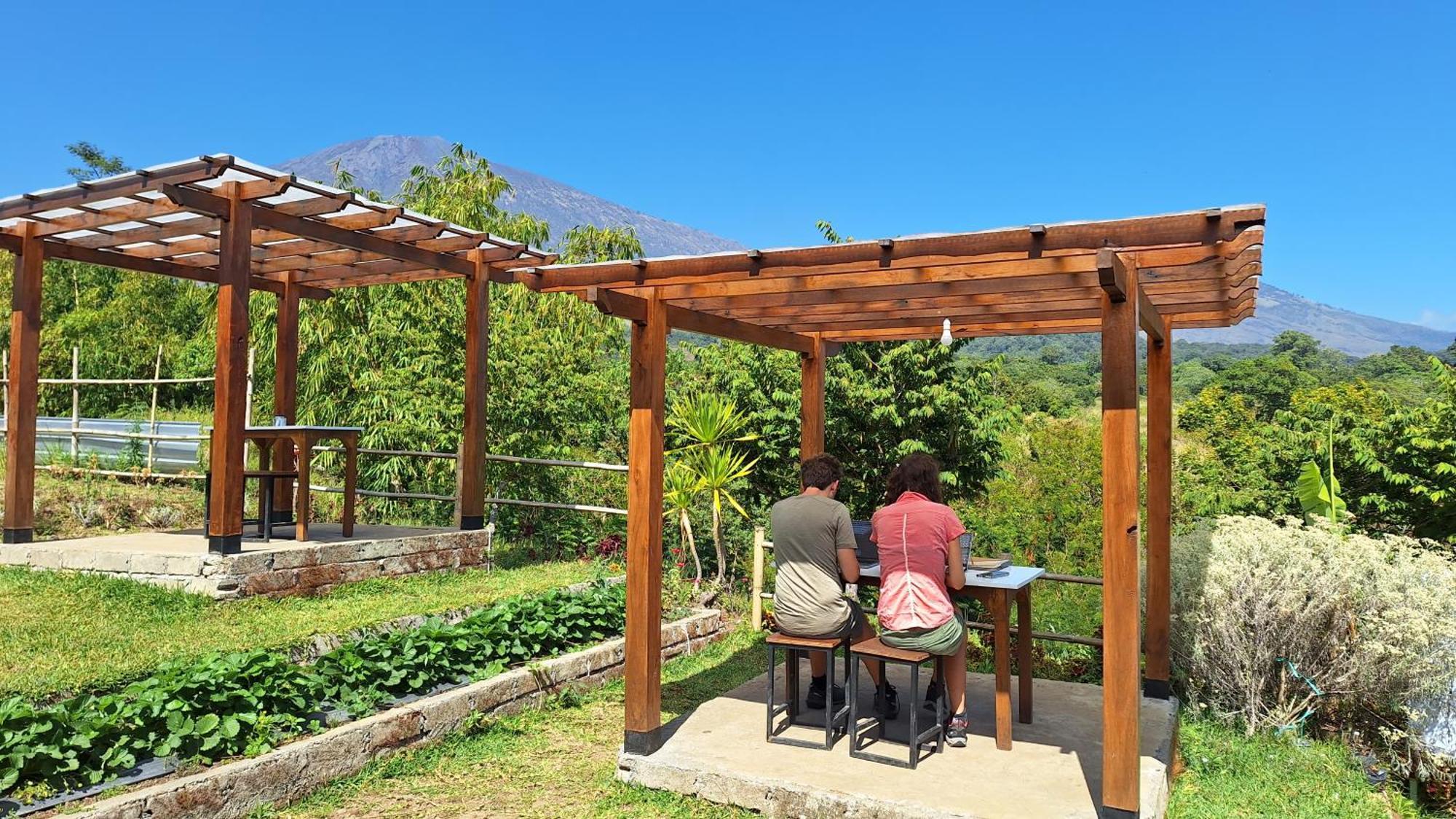 Family Rinjani Bungalow Sajang 외부 사진